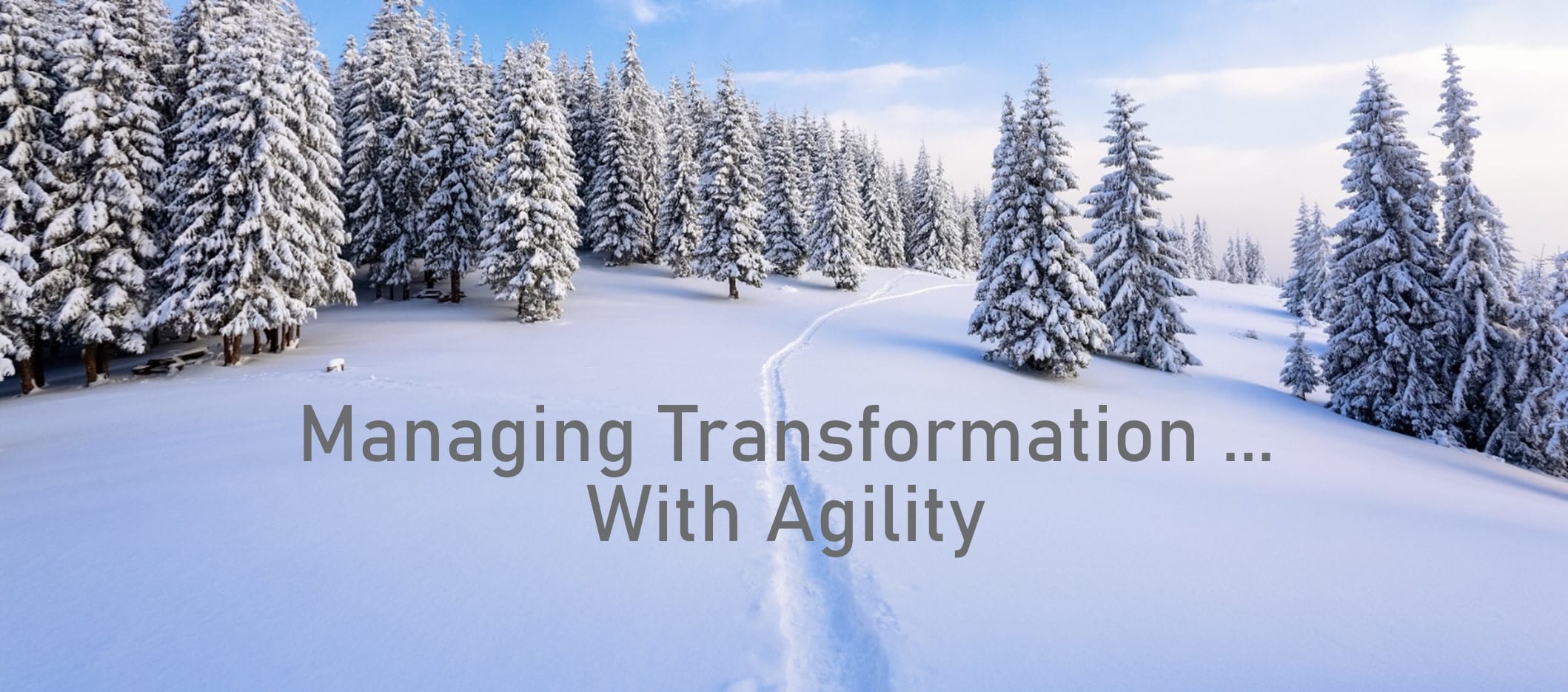 Managing Transformation…With Agility.